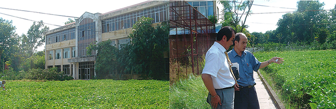 ベトナム国立大豆と稲の研究所 共同研究サポート