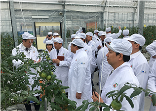 ハイテク農業 ハウス見学（ベトナム政府代表団）
