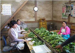 ハイテク農業 ハウス見学（ベトナム政府代表団）